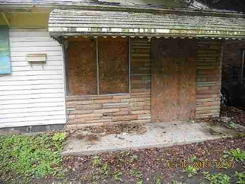 15017 Dolphin (25)_m.jpg